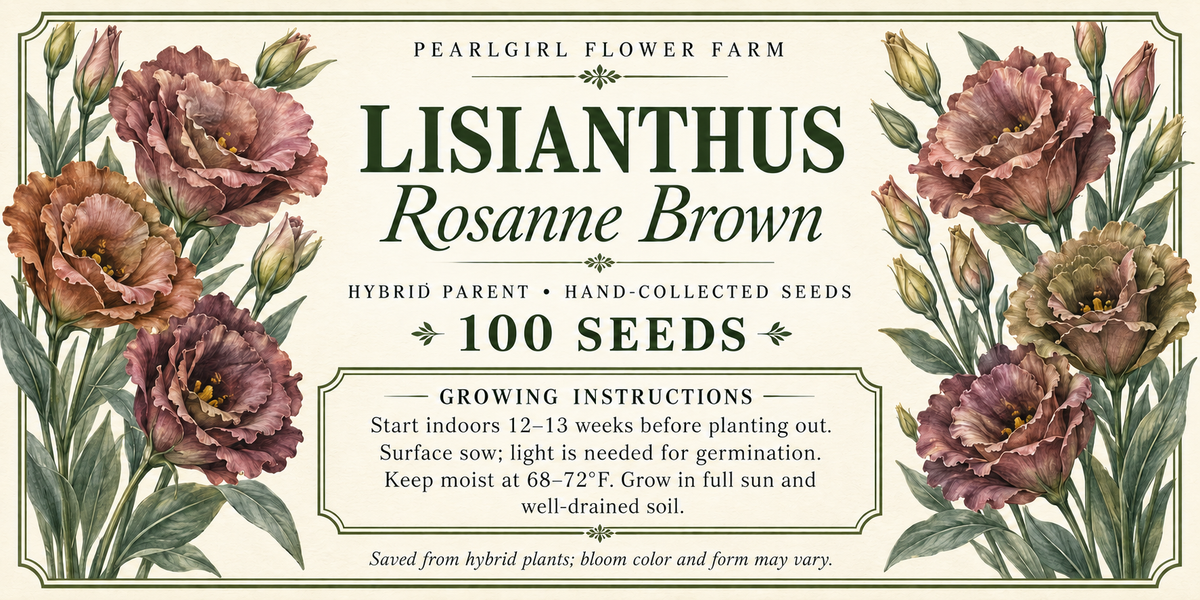 Lisianthus Brown Hybrid Seeds 100ct