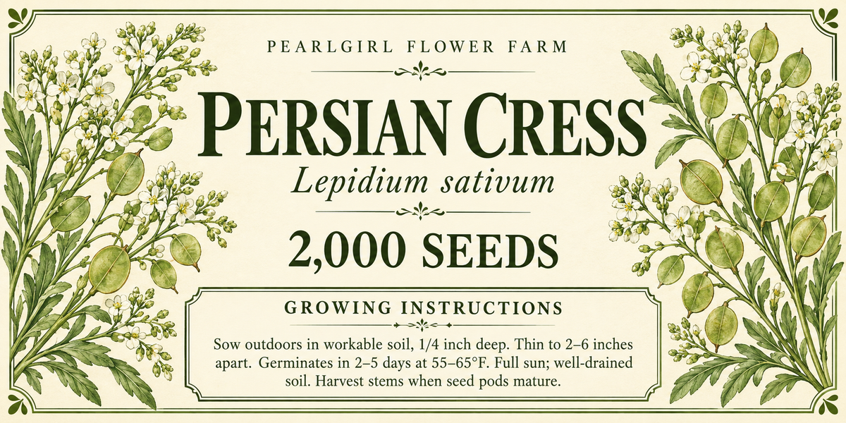 Persian Cress (Lepidium sativum) Seeds 200ct